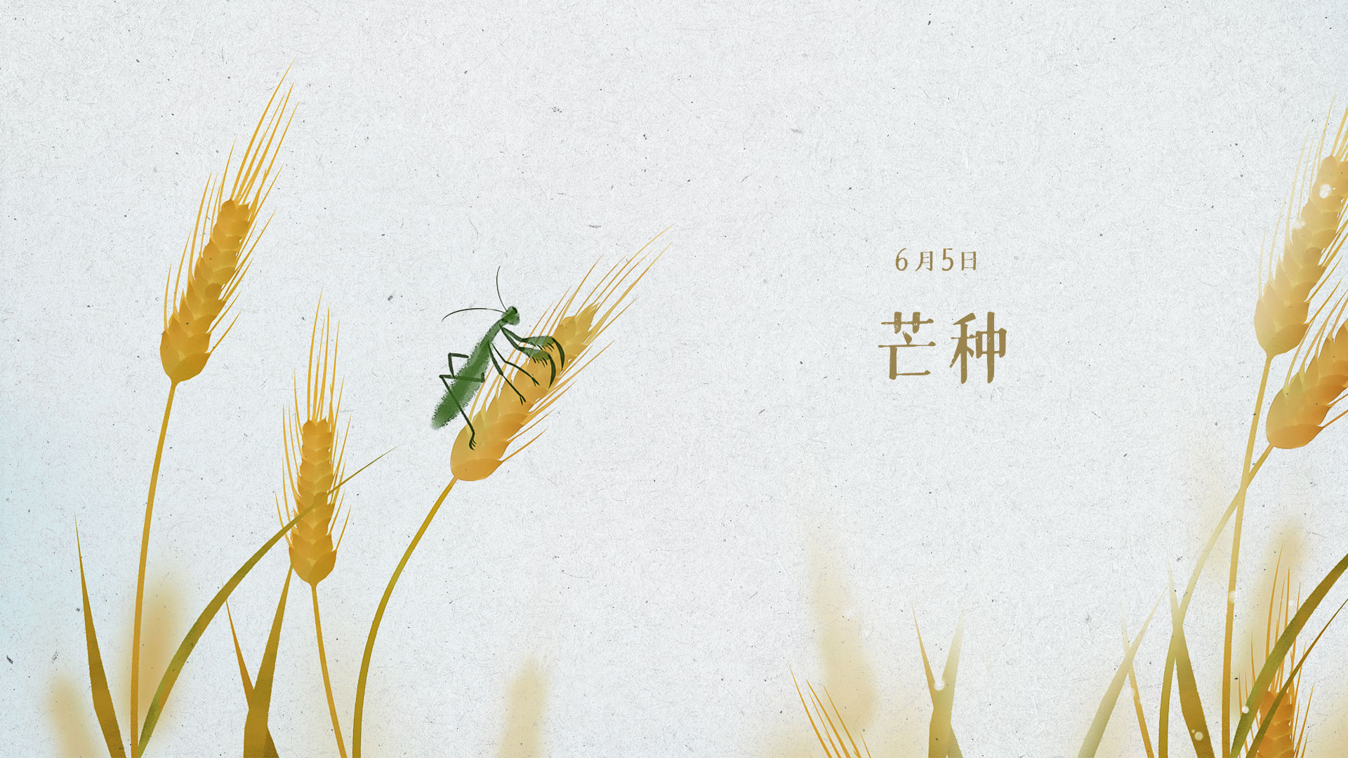 6月5日芒种：始于热爱 结于丰盈