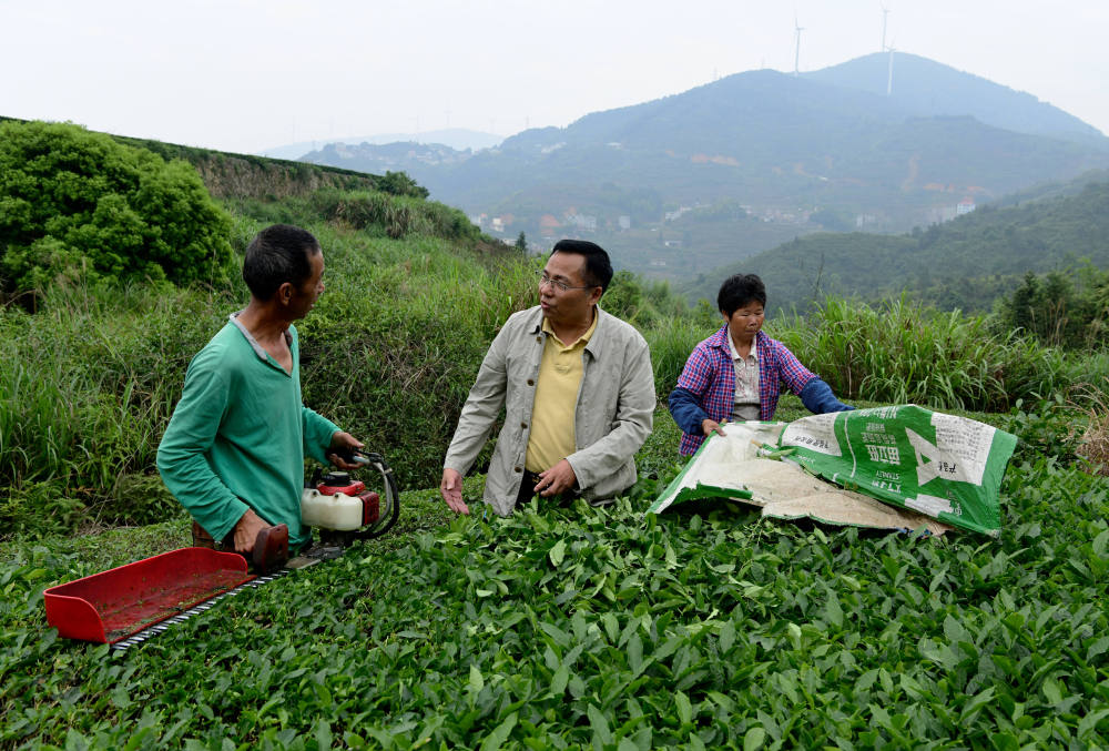 丰富食物“资源库” 唱好农业“山海经”——福建深入践行大食物观的经验启示 第 11 张