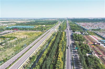 宁夏公路景观绿化探索“交通+农业”新模式
