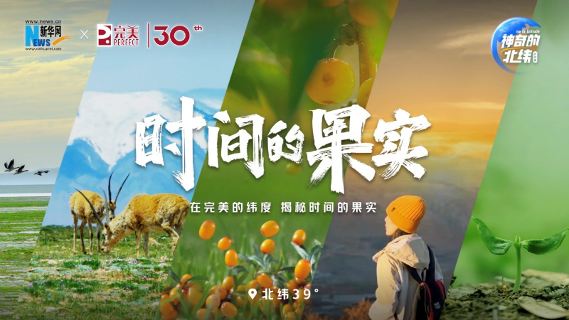 走进完美沙棘种植基地 《神奇的北纬》邂逅“时间的果实” 第 1 张
