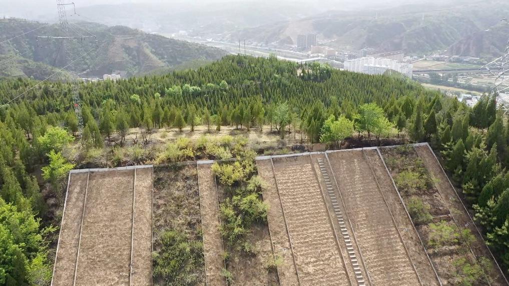 陕北淤地坝：黄土高原上的“聚宝盆”｜高质量发展调研行 第 4 张