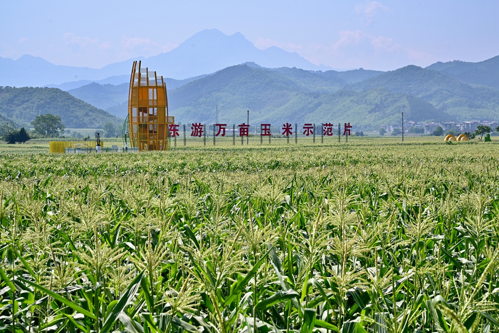 丰富食物“资源库” 唱好农业“山海经”——福建深入践行大食物观的经验启示 第 5 张