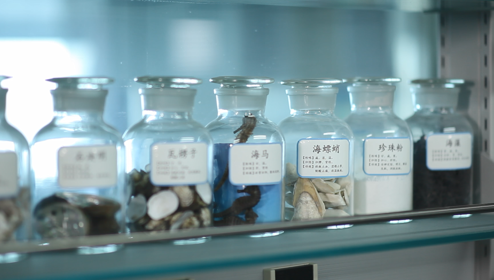 在全球已上市的16种海洋创新药物中，有两种由我国研发——“蓝色药库”如何加快开发 第 4 张