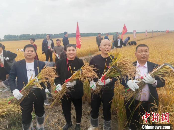 黑龙江秋收观察：120多名“米商”稻田里现场“拉凳子”谈生意 第 1 张