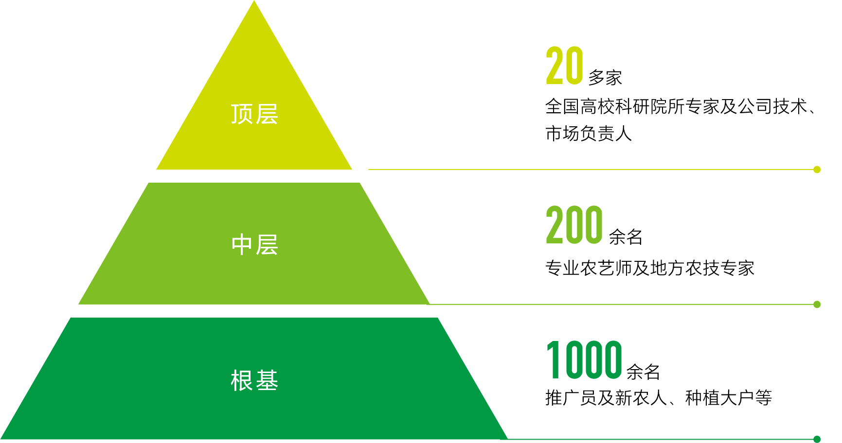 打造农服领军模式，新洋丰助力粮丰天下安 第 2 张