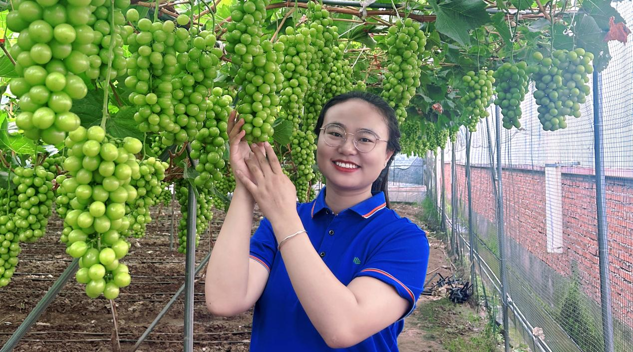 打造农服领军模式，新洋丰助力粮丰天下安 第 3 张