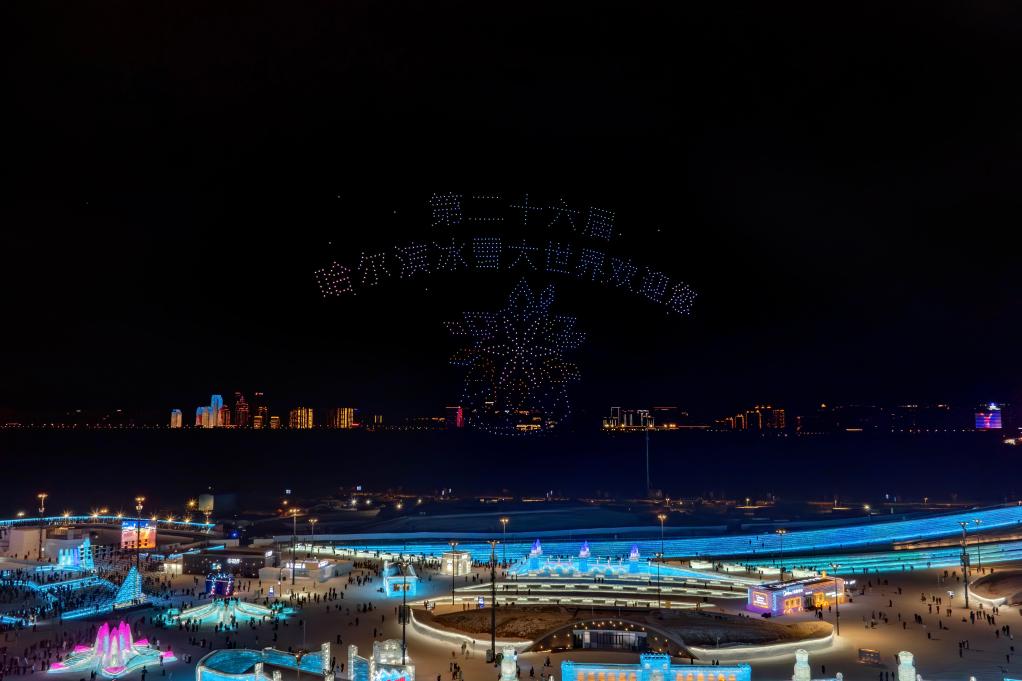 聚焦“尔滨2.0”｜“冰城”宠客升级 第 4 张