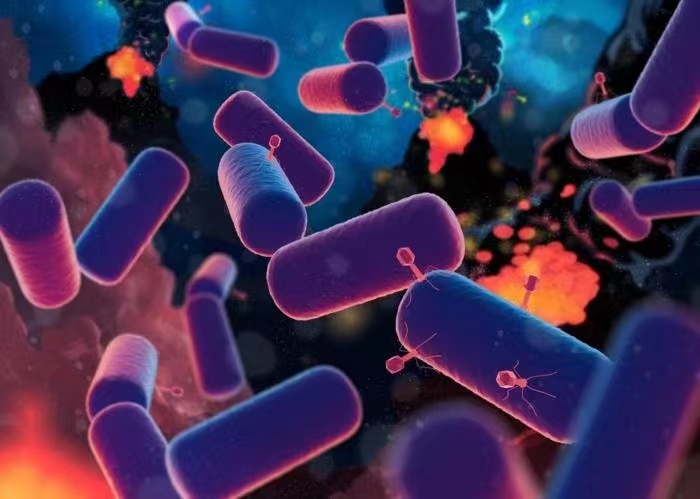  “卢卡”四十二亿年前曾受过病毒攻击，现代细胞生命共同祖先生物学特征揭秘|总编辑圈点