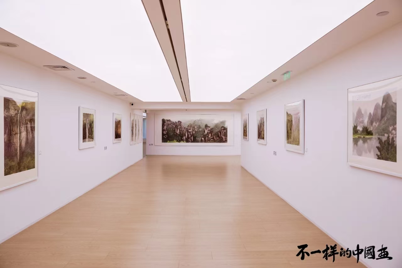 “不一样的中国画”艺术展开幕 探索中国画新境界 第 11 张