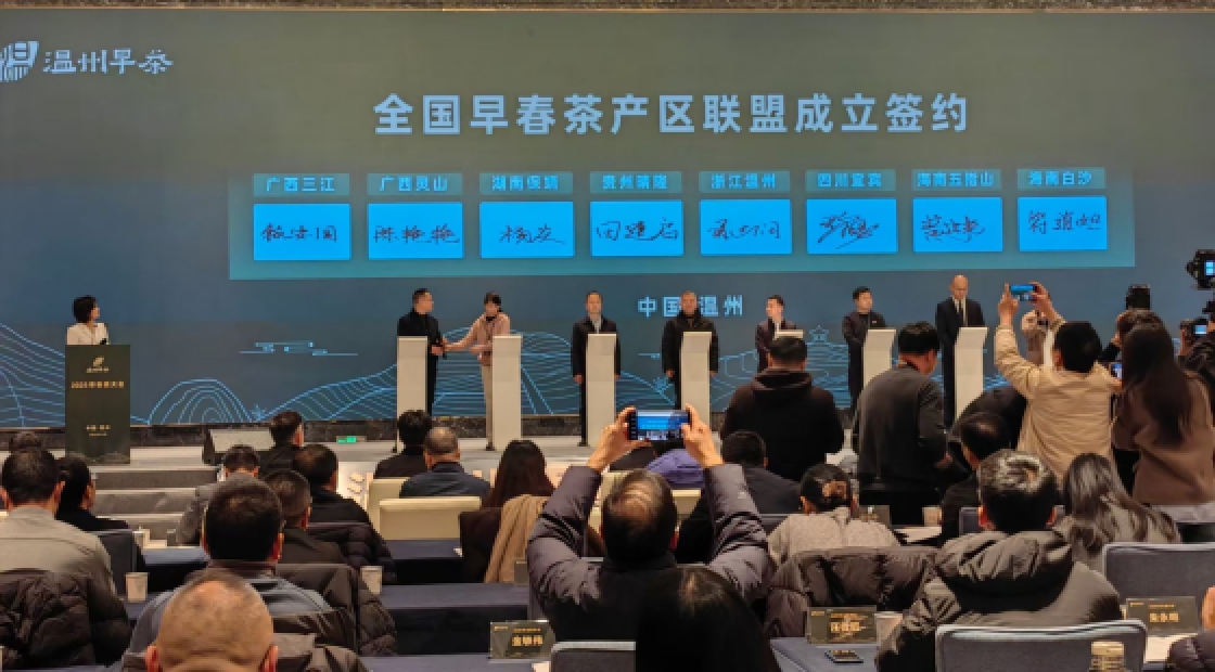 中茶所发挥科技资源聚合纽带优势推动建立全国早春茶产区联盟
