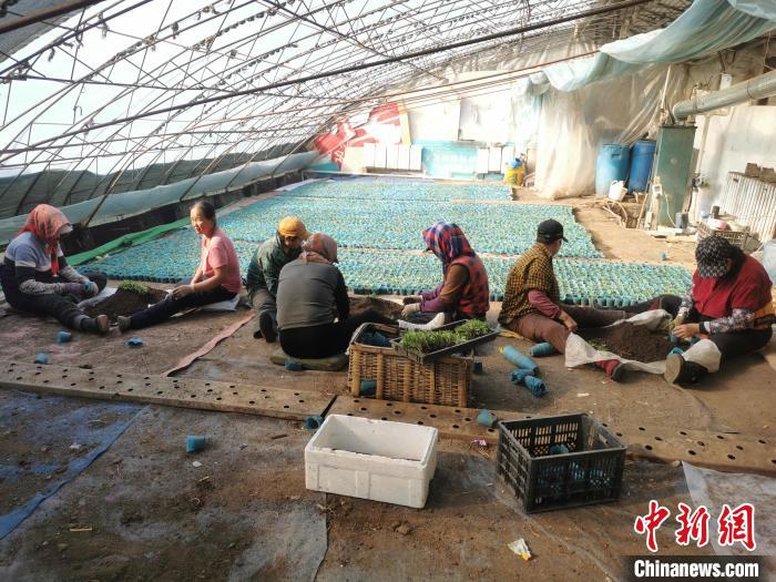 黑龙江：春早人更勤 抢抓农时备春耕 第 1 张