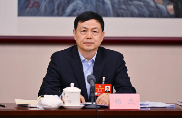 全国政协常委杨杰：培育壮大信息消费“新三样” 激发经济增长新动能