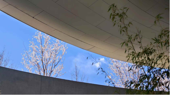 走起，感受北京智能机器人产业全景图——具身智能如何从实验室“跑”向未来 第 1 张