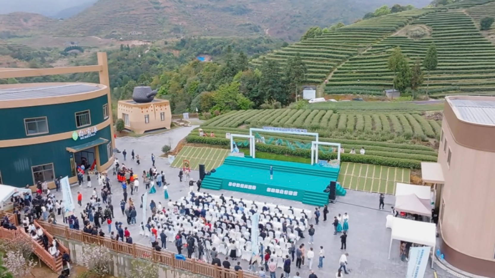 福建柘荣：以茶为媒绘就乡村振兴新图景 第 1 张