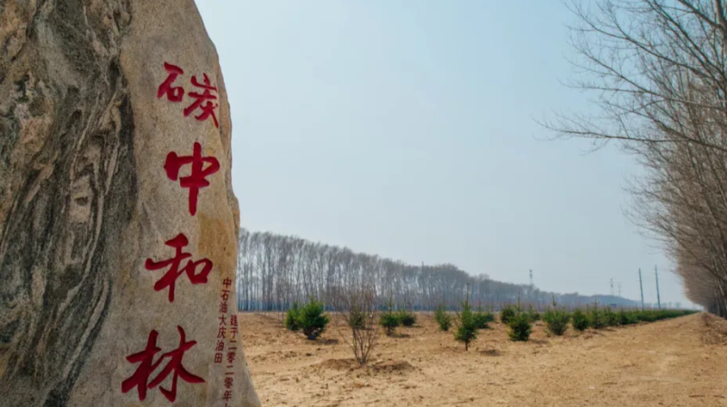 大庆油田碳中和生态园：厚植“绿美”底色 绘就生态画卷 第 2 张