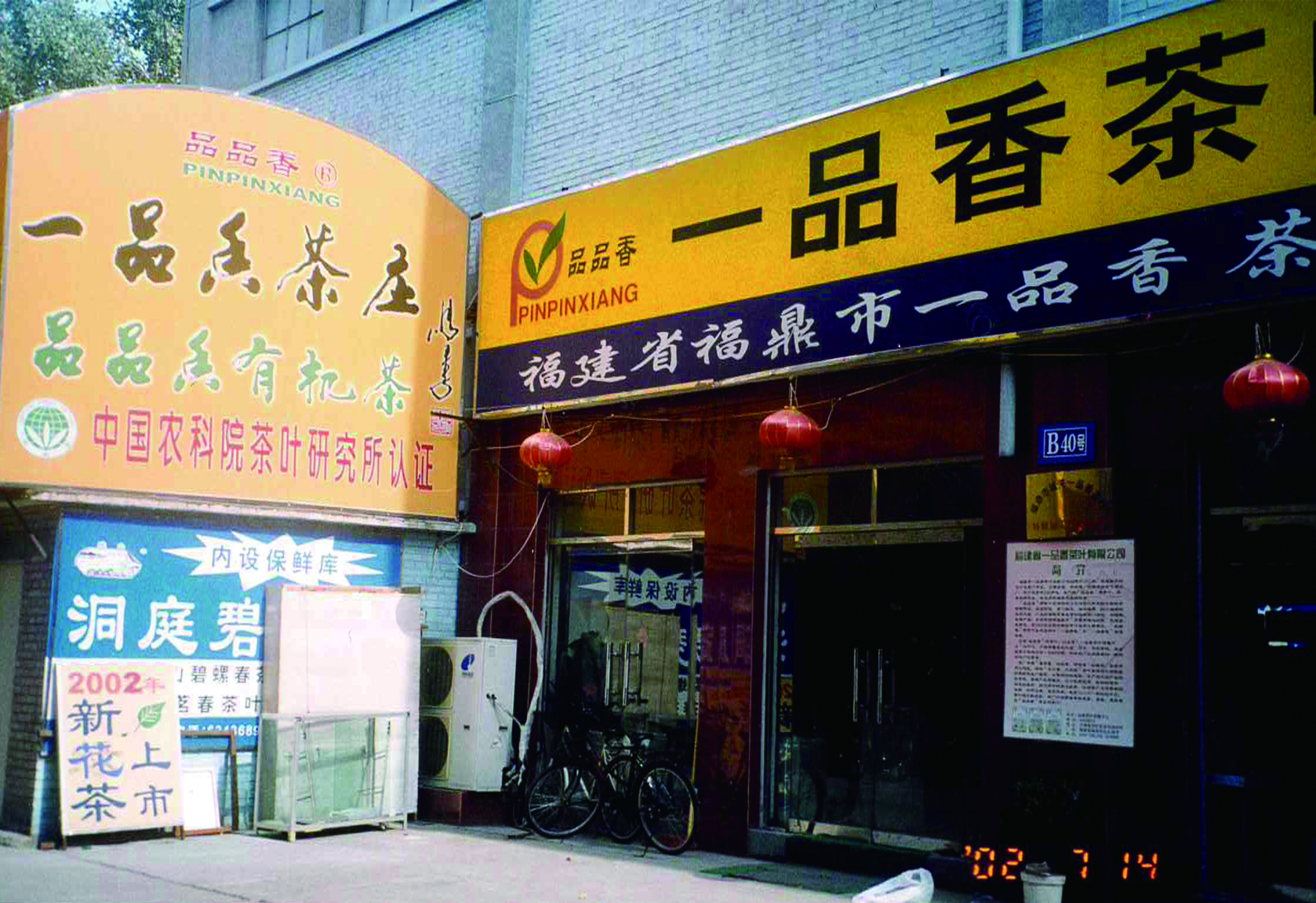 福鼎白茶制作技艺国家级非遗传承人林振传:以白茶创新引领乡村振兴与产业升级 第 2 张
