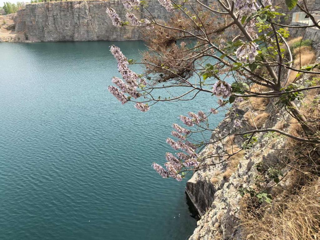 缤纷业态引客来——山东多措并举推动文旅产业高质量发展观察 第 2 张