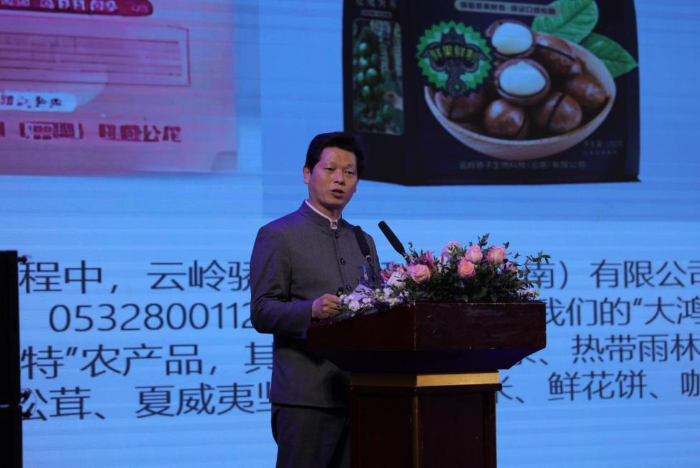 云岭骄子：承普洱古韵，启健康新程 第 3 张