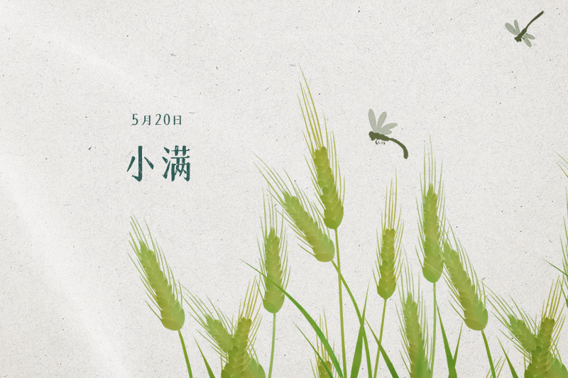 5月20日小满：晴日暖风生麦气