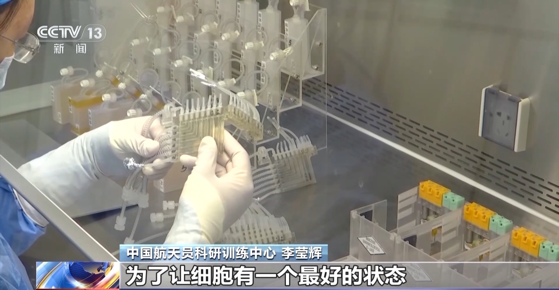 对抗失重 这项研究专为预防航天员骨丢失和肌萎缩 第 1 张