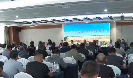 田间地头交流 种植经验分享 旱碱麦优良品种现场观摩在青举行促农增收 第 1 张