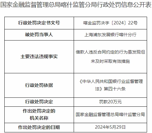 浦发银行喀什分行被罚 发现借款人违约未及时采取措施 第 1 张