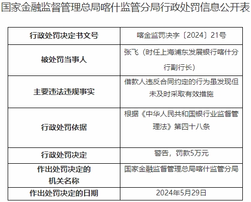 浦发银行喀什分行被罚 发现借款人违约未及时采取措施 第 2 张