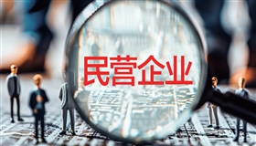 中国民营经济十论