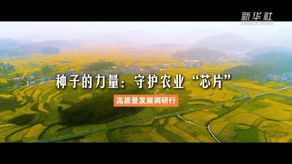 种子的力量：守护农业“芯片”
