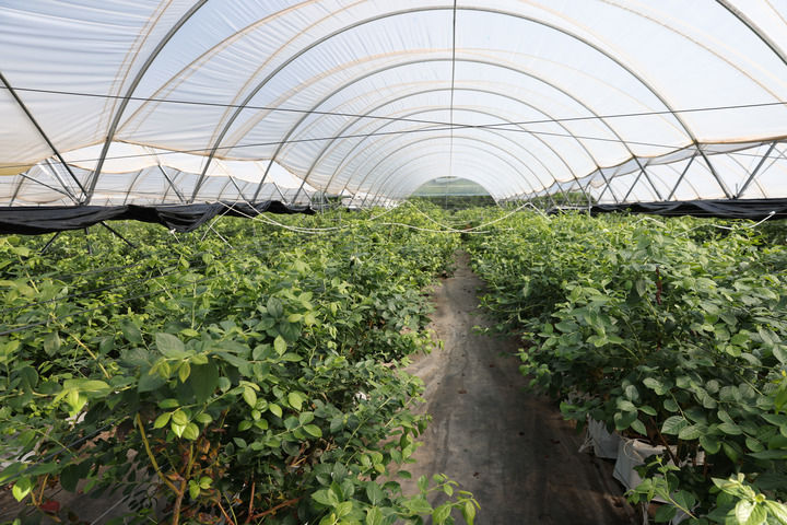 增强发展活力 厚植发展优势——西部地区以进一步全面深化改革开创高质量发展新局面 第 10 张