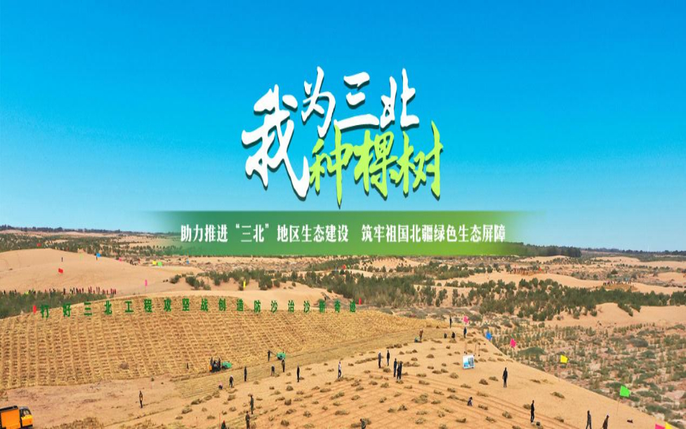 汇聚公益力量，助力打好“三北”工程攻坚战 第 1 张