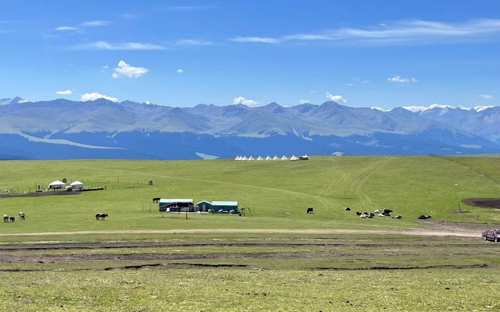 这个八月到草原去旅行吧 第 1 张