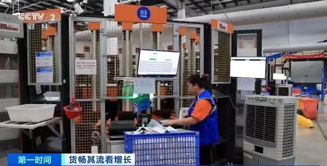 省钱！小件包裹在浙江拼成大件 轻松“飞”全球 第 1 张
