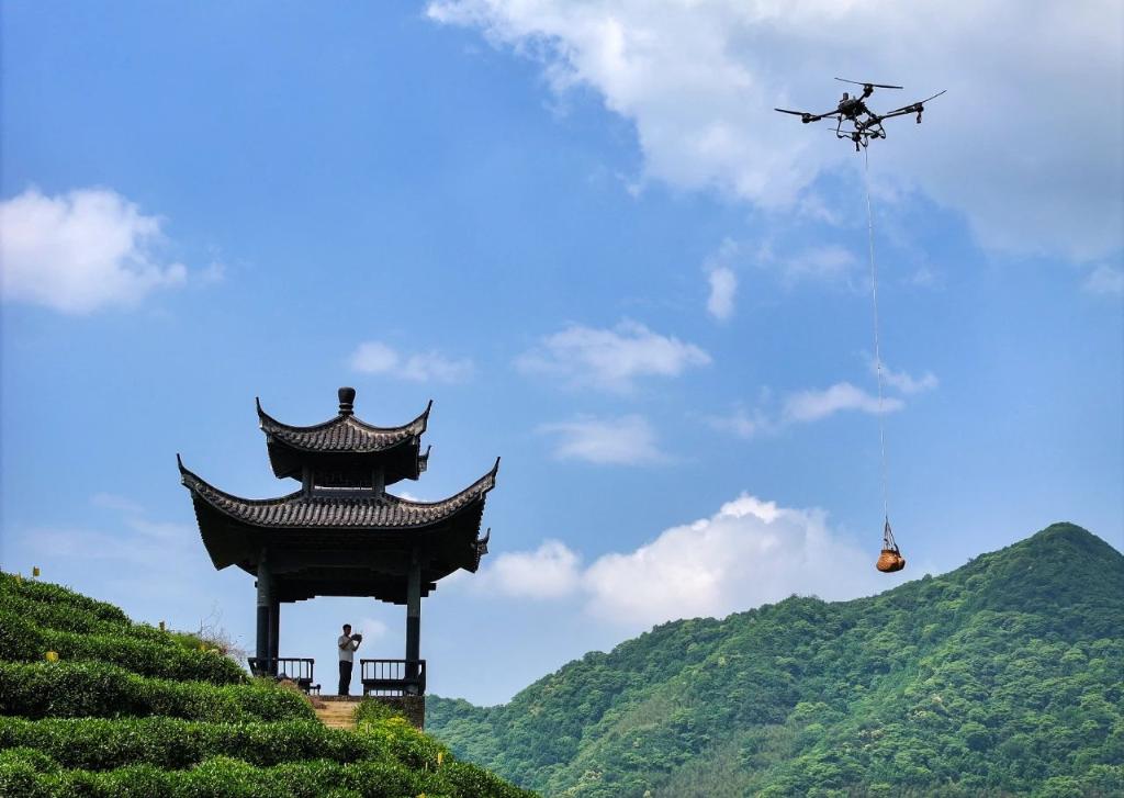 机器狗、无人机，人工智能如何保护绿水青山？ 第 1 张