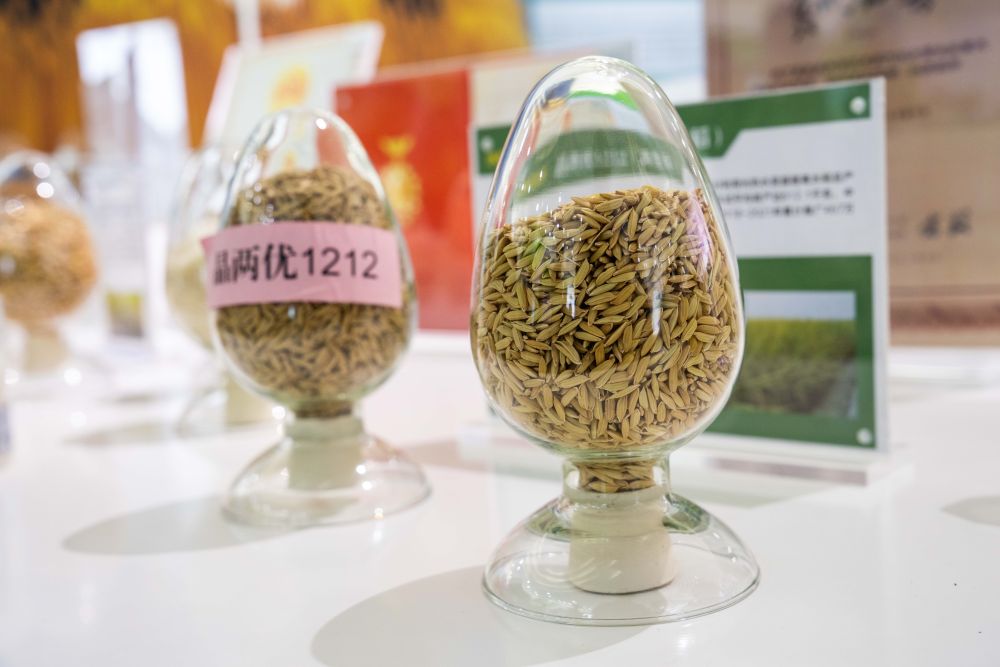 湖南：守护农业“芯片” 第 1 张