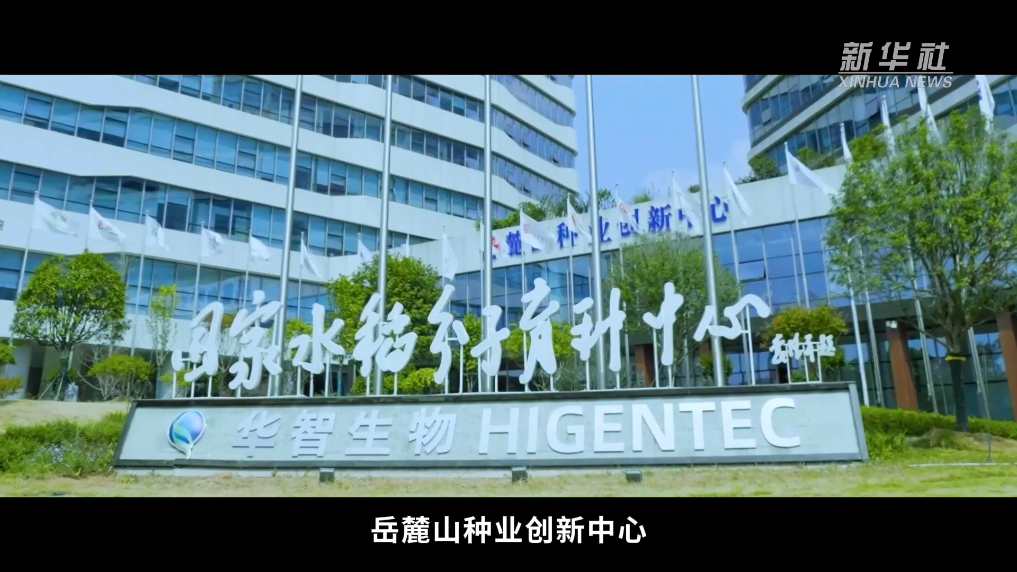 种子的力量：守护农业“芯片” 第 1 张