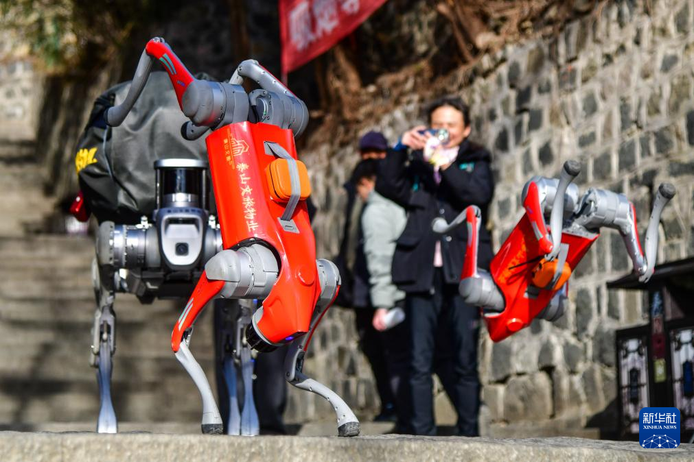机器狗再登泰山 第 1 张