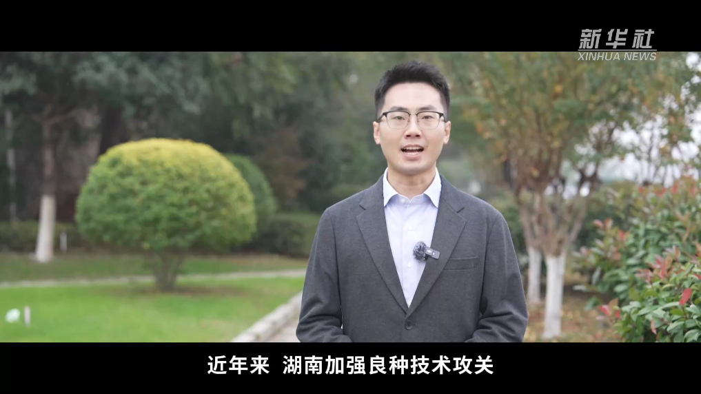 种子的力量：守护农业“芯片” 第 2 张