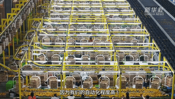 一颗小柑橘 带动富民大产业 第 2 张