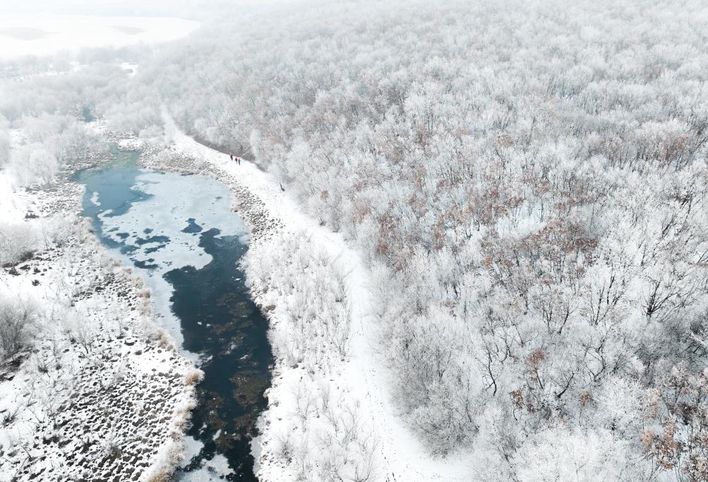 内蒙古呼伦贝尔：让冰雪运动更“接地气” 第 2 张