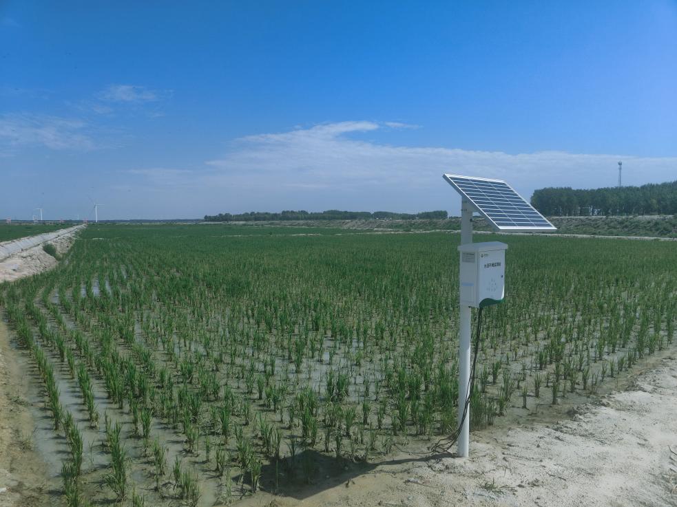 大地之变丨黑龙江大庆：盐碱地变良田 科技助力稻谷香 第 4 张