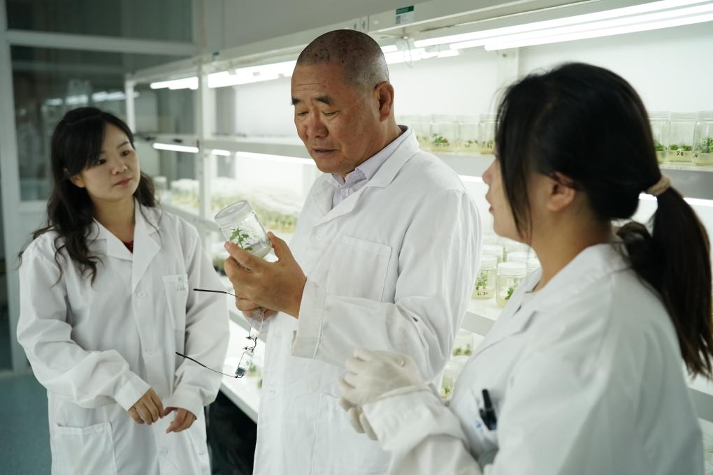耕耘二十载 只为苹果“中国芯” 第 5 张