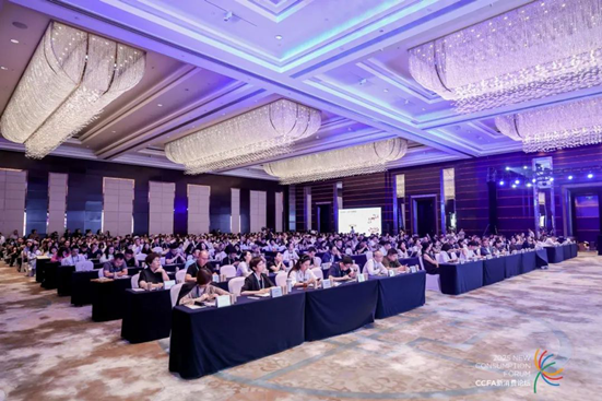 2025购物中心与连锁品牌发展峰会在南京举办：以价值增长驱动购物中心进化 第 1 张