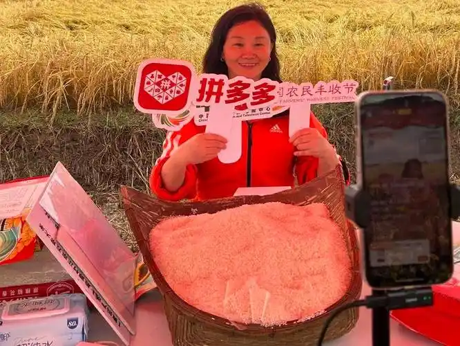 拼多多亮相第九个中国农民丰收节，"多多丰收馆"激活农货消费